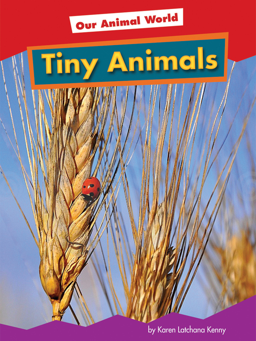 Cover of Tiny Animals
